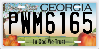 GA license plate PWM6165