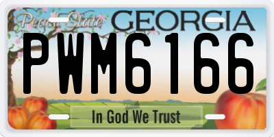 GA license plate PWM6166