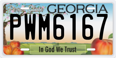 GA license plate PWM6167