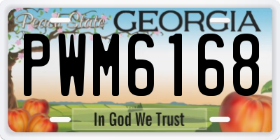 GA license plate PWM6168