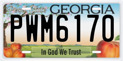 GA license plate PWM6170