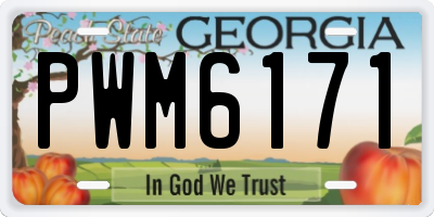 GA license plate PWM6171