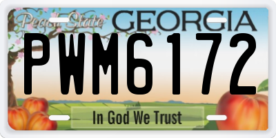 GA license plate PWM6172