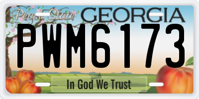 GA license plate PWM6173