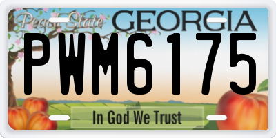 GA license plate PWM6175