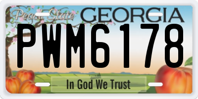 GA license plate PWM6178