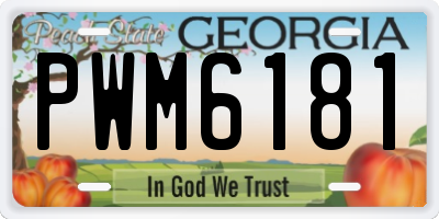 GA license plate PWM6181