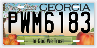 GA license plate PWM6183