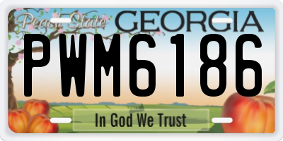 GA license plate PWM6186