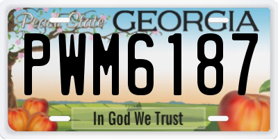 GA license plate PWM6187