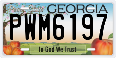 GA license plate PWM6197