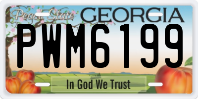 GA license plate PWM6199