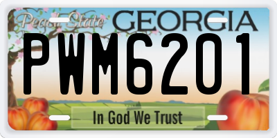 GA license plate PWM6201