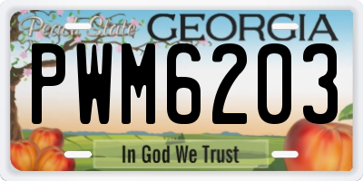 GA license plate PWM6203