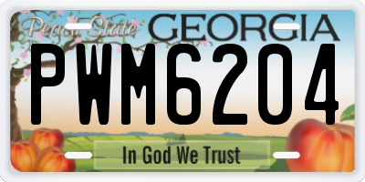GA license plate PWM6204