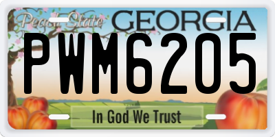 GA license plate PWM6205