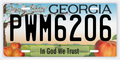 GA license plate PWM6206