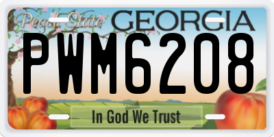 GA license plate PWM6208