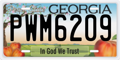 GA license plate PWM6209