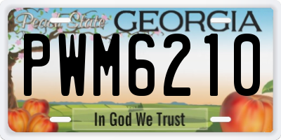 GA license plate PWM6210