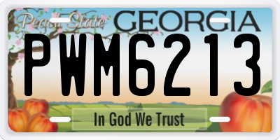GA license plate PWM6213