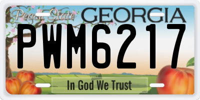 GA license plate PWM6217
