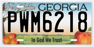 GA license plate PWM6218