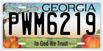 GA license plate PWM6219