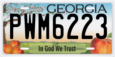 GA license plate PWM6223