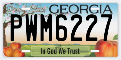 GA license plate PWM6227