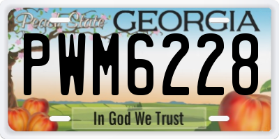 GA license plate PWM6228