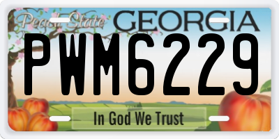 GA license plate PWM6229