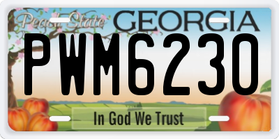 GA license plate PWM6230