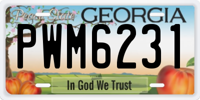 GA license plate PWM6231