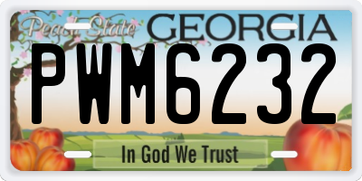 GA license plate PWM6232
