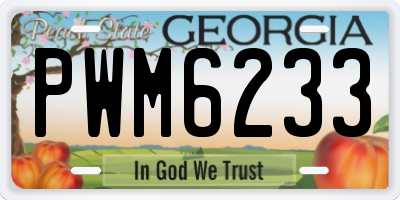 GA license plate PWM6233