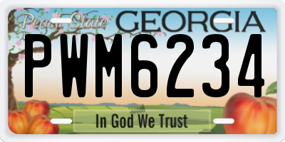 GA license plate PWM6234