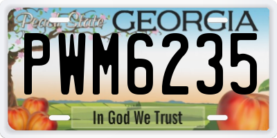 GA license plate PWM6235