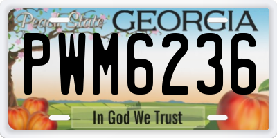 GA license plate PWM6236