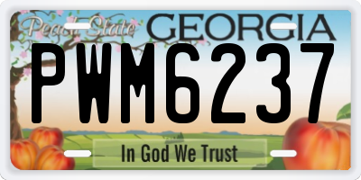 GA license plate PWM6237