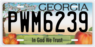 GA license plate PWM6239