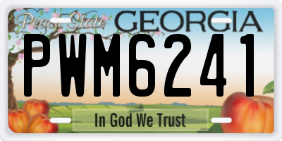GA license plate PWM6241