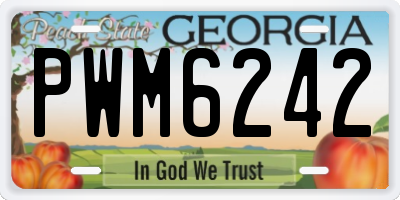 GA license plate PWM6242