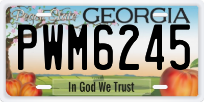 GA license plate PWM6245