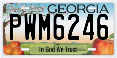 GA license plate PWM6246