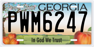 GA license plate PWM6247