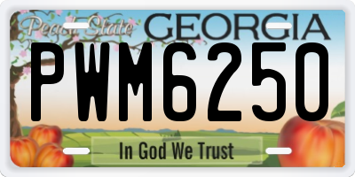 GA license plate PWM6250