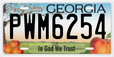 GA license plate PWM6254