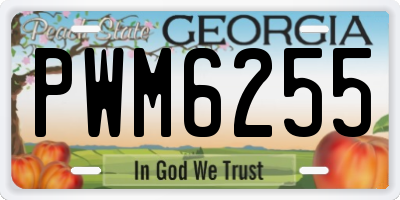 GA license plate PWM6255