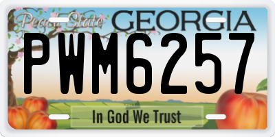 GA license plate PWM6257